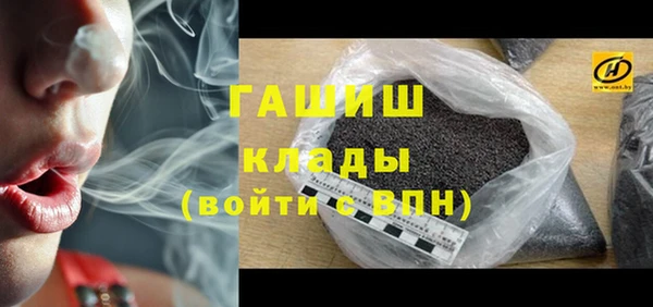 шишки Медногорск
