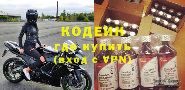 прущие грибы Абаза