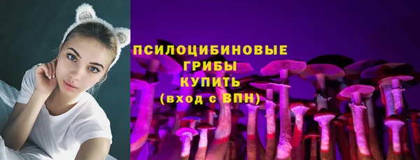соль ск Медвежьегорск