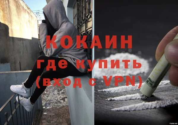 молекула духа Мегион