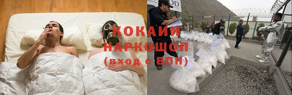 прущие грибы Абаза