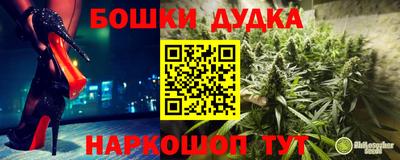 ГАЛЛЮЦИНОГЕННЫЕ ГРИБЫ Владимир