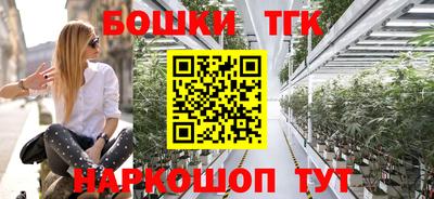 индика Владивосток
