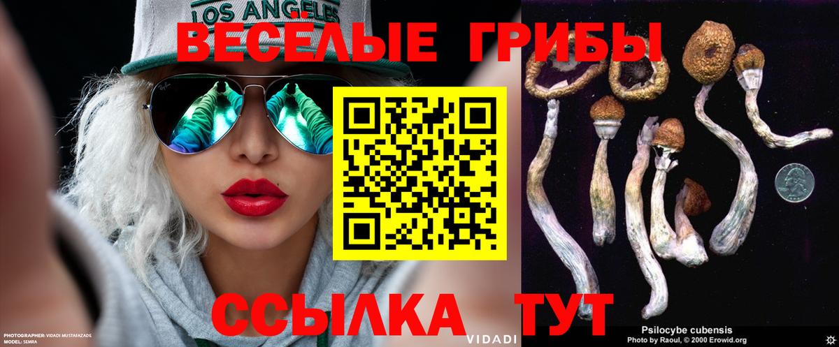 Галлюциногенные грибы Magic Shrooms  Вход с VPN  Липецк  Псилоцибиновые грибы MAGIC MUSHROOMS 