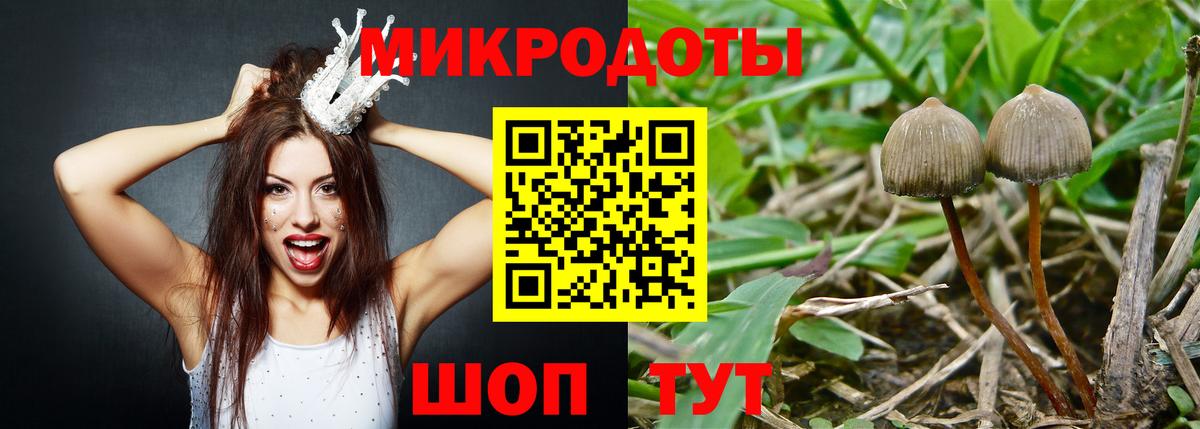 Псилоцибиновые грибы прущие грибы Липецк